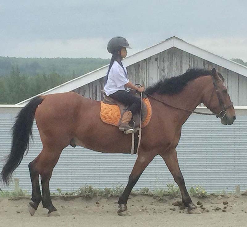 Reaching Strides Equestrian Centre, Port Hood, Cape Breton, Nova Scotia